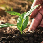 Improving the environment protection and biodiversity conservation