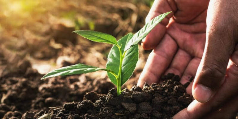 Improving the environment protection and biodiversity conservation